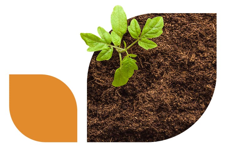 Valar Digital Branding