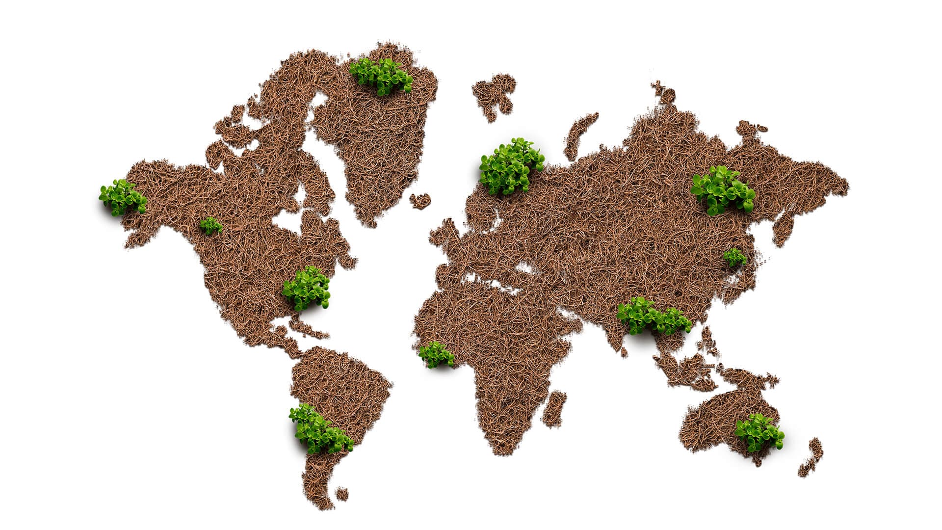 Global Market For Valar