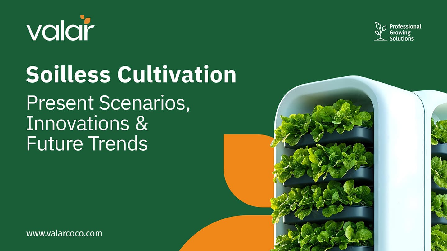 LinkedIn Articles images for Valar by Litmus branding