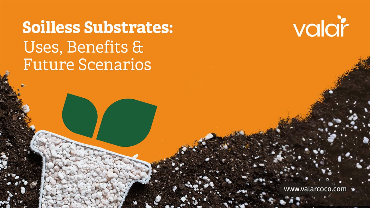 LinkedIn Articles images for Valar by Litmus branding