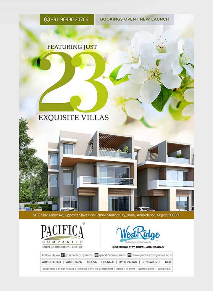 business flyer design